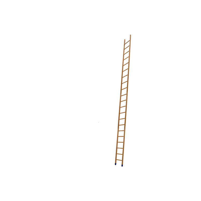 Echelle Direct - Echelle de meunier 21 marches - Hauteur à atteindre 5.17m - BSMEN-550