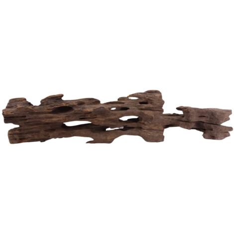 L Honey Comb Wurzel Nr.2064 Holz Deko Aquascaping