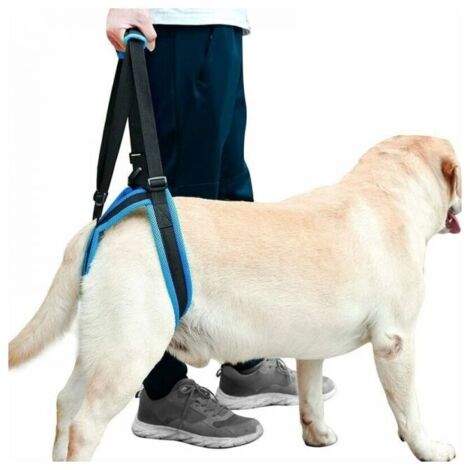 (L) Imbragatura di supporto per cani, comoda e traspirante, imbracatura di supporto anteriore e posteriore, adatta a cani di piccola e grande taglia, riabilitazione e recupero di cani anziani.