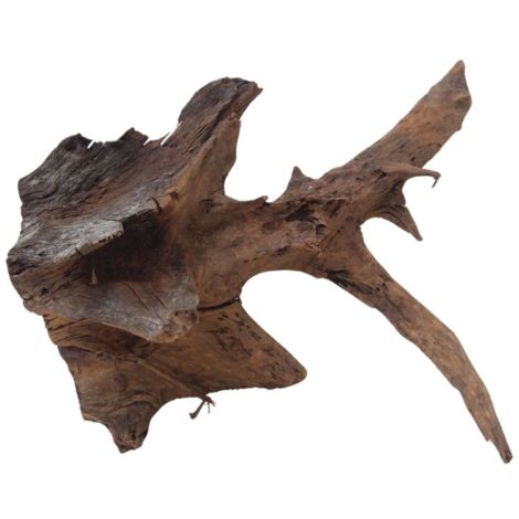L Mangrovenwurzel Nr.9748 Holz Deko Aquascaping