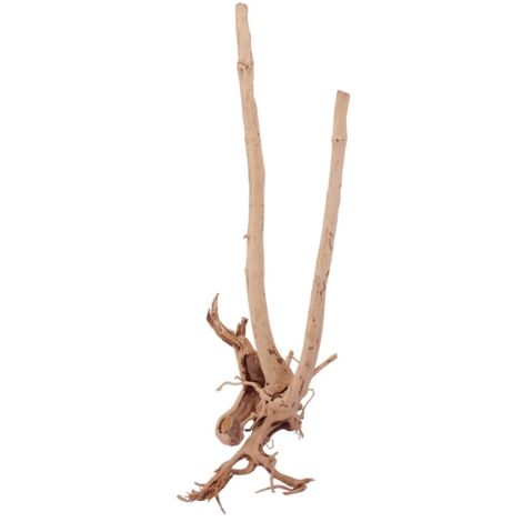 L Stump Wurzel Nr.1877 Holz Deko Aquascaping