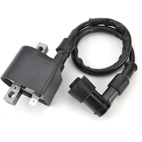 La bobine haute tension Suzuki 33410-35340 convient aux LT50, LTA50, JR50 et AX100.