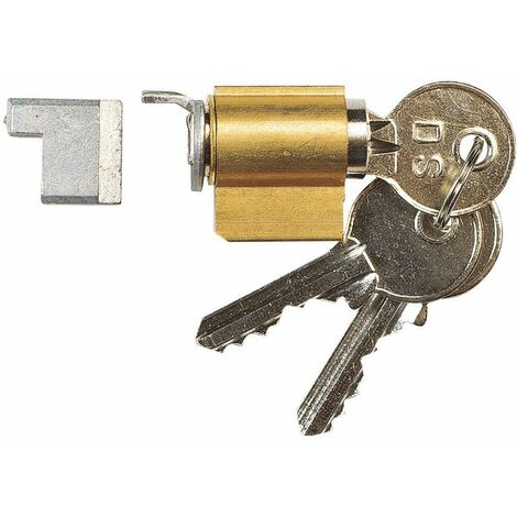 La Croisee Ds – Cylindre de serrure encastré 9432 – Longueur 30.1 mm – Pour profil de 27 à 31 mm – 2 clés plates en laiton nickelé – Cylindre spécial pour baie vitrée