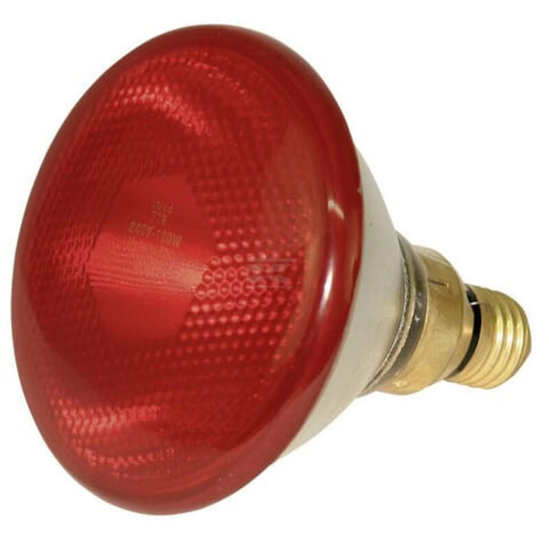 La lampe infrarouge à économie d'énergie vous permet de chauffer votre animal de compagnie en toute sécurité.