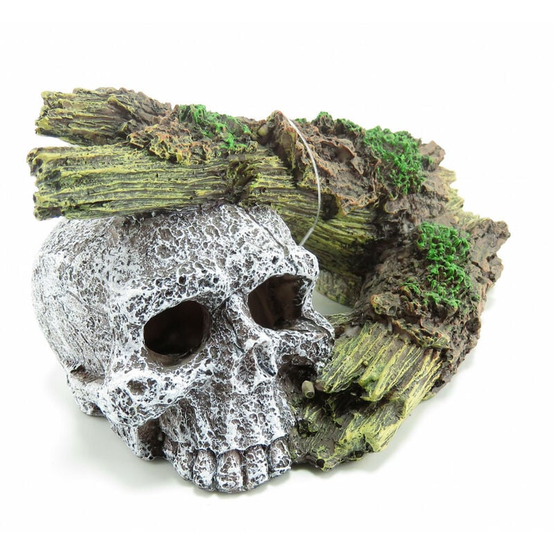 

cráneo con tocón de tronco, 16 x 9 x 7 cm. Decoración de acuarios.