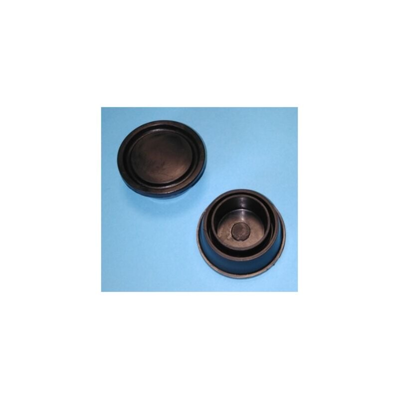 Astralpool - Tampons D-43 x 2 Echelle STD-droite-mixte-asymetrique, Echelle - Escalier - Plongeoir, 4401010112 - 1