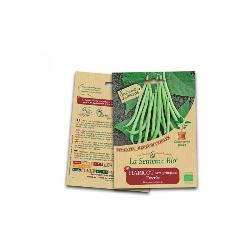 Graines bio Haricot Vert Grimpant Emerite - La Semence Bio