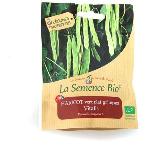 La Semence Bio - Haricot vert plat grimpant vitalis