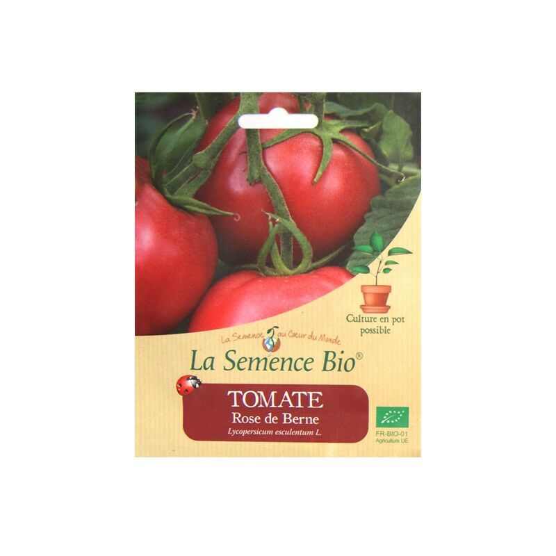 Tomate Rose de Berne - La Semence Bio