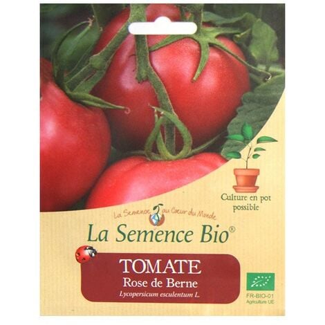 La Semence Bio - Tomate Rose de Berne