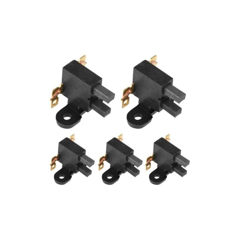Image of LaBlanc - 5er-Pack Kohlebürsten für 2 kW-3 kW Benzingenerator