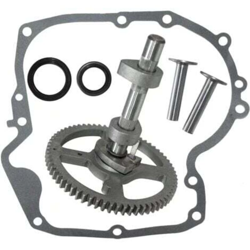 Lablanc - Arbres à cames Briggs & Stratton 793880 793583 792681 791942 795102 Kit de remplacement de came