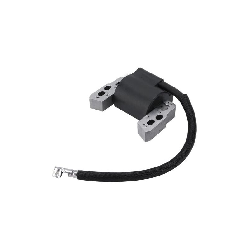 Lablanc - Module de bobine d'allumage moteur en métal 802574 796964 universel pour Briggs et Stratton