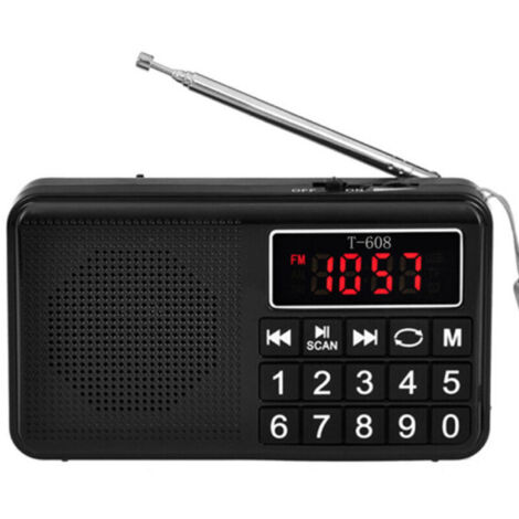 LaBlanc - Radio Portable  - Radio FM -avec Batterie Rechargeable de Grande Capacité,Prise en Charge MP3