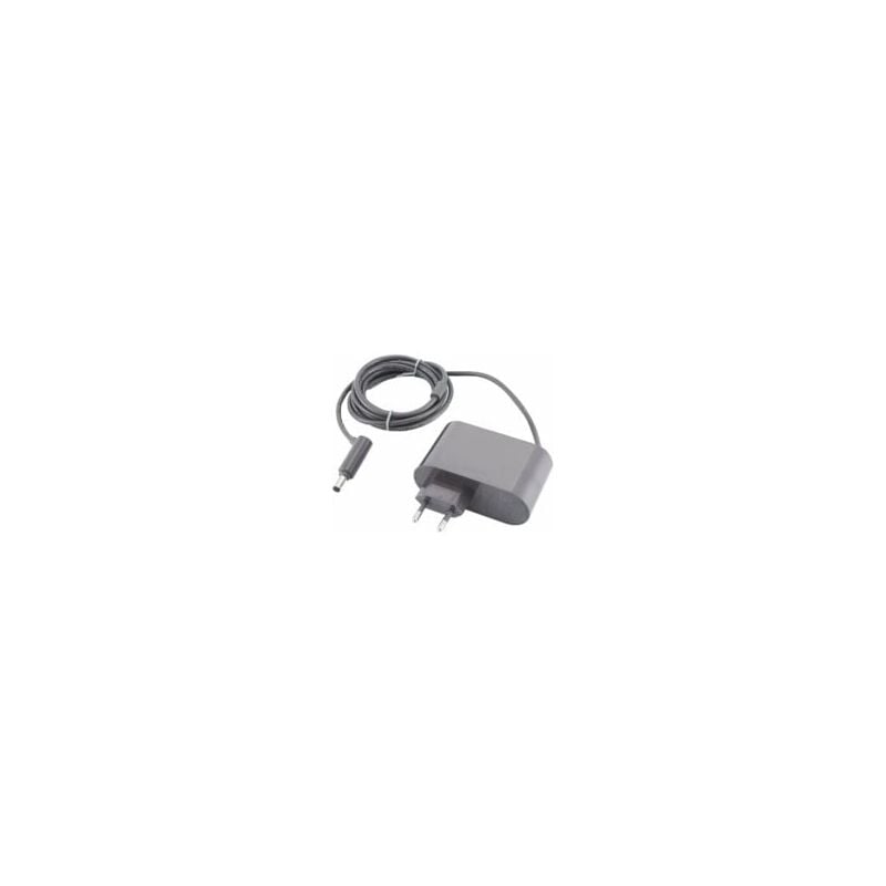Image of Ladegerät für Dyson V6 V7 V8 DC58 DC59 DC61 DC62 SV03 SV04 SV05 SV06 SV07 Staubsauger ac Adapter