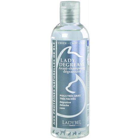 Lady Degrease par LadyBel : 200 ml