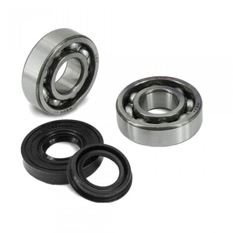 lager oder dichtung spi motor one für roller mbk 50 next