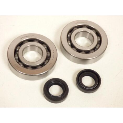 Lager oder Dichtung spi Motor p2r für auto peugeot neu