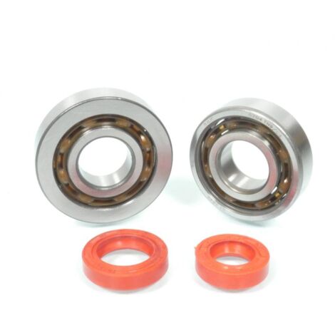 Lager oder Dichtung spi Motor rsm für Auto neu