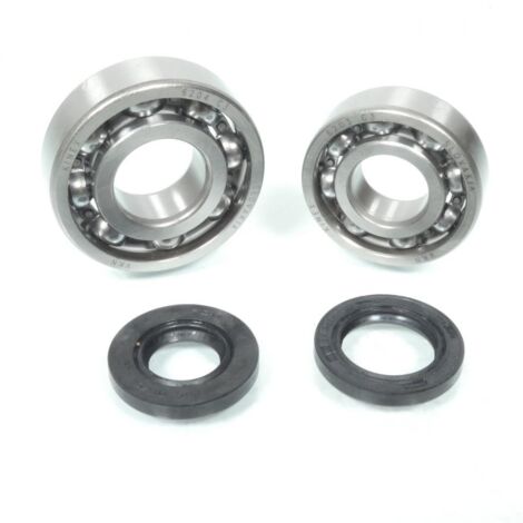 Lager oder Dichtung spi Motor rsm für Auto neu