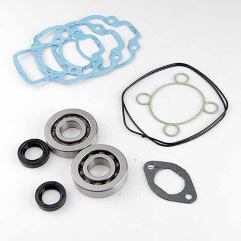 lager oder dichtung spi motor teknix für roller derbi 50 gp1 lc