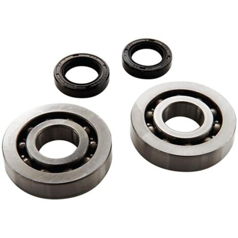 lager oder dichtung spi motor top performance für roller piaggio