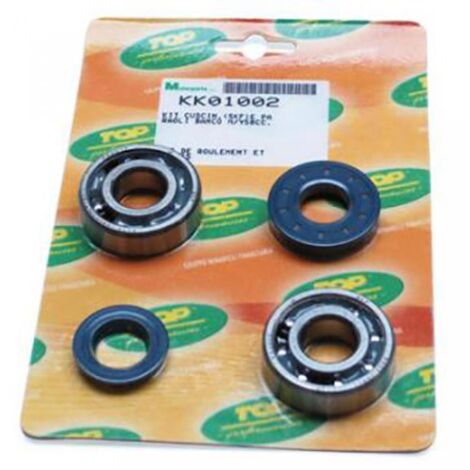 lager oder dichtung spi motor top performances für roller yamaha
