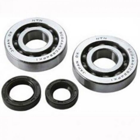 lager oder dichtung spi motor tpi für roller gilera 50 stalker
