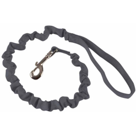 Laisse Anti à Coups pour Chien "Essentiel" 120cm Anthracite