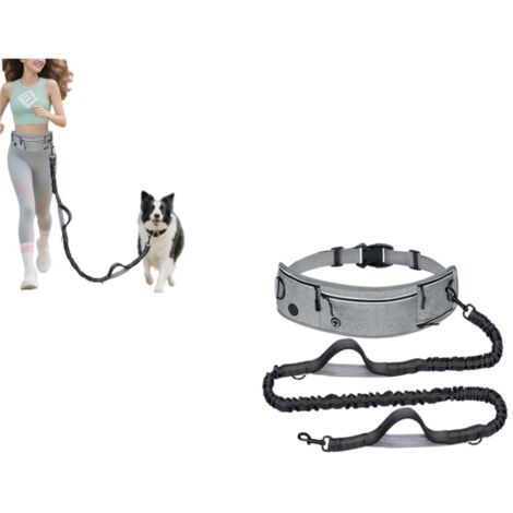 Laisse Canicross Chien, Laisse Main Libre pour Chiens, Longe de Jogging Élastique 145-200cm, Anti-tirons, Réfléchissant, Ceinture Réglable, Double Poignée pour Course à Pied, Marche