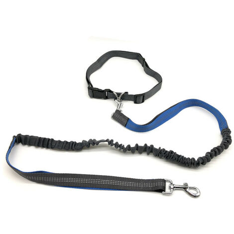 Laisse ceinture de training réfléchissante 25 mm x 1,9 M avec absorbeur de chocs pour chiens - Animood