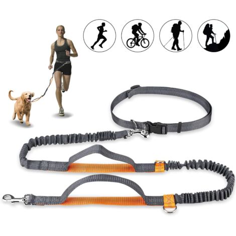 Laisse Chien Mains Libres, Laisse de Jogging Réglable et Élastique avec Coutures Réfléchissantes pour Chiens jusqu’à 110 kg