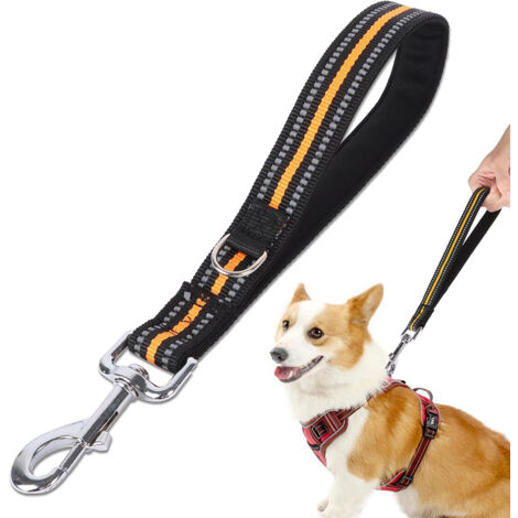 Laisse Courte Chien 30 cm, Laisse Réfléchissante pour Chien (Noir & Orange, 32 CM)