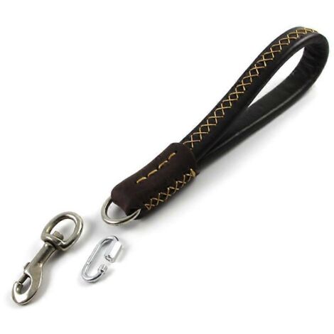 Laisse courte et résistante pour chien, poignée souple, collier en cuir, accessoires pour animaux de compagnie