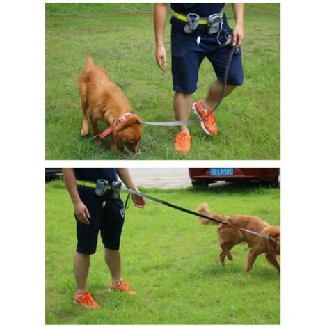 Laisse de Chien - ADTOBAST - Ceinture Mains-libres - Élastique - Nylon - Pratique pour Jogging