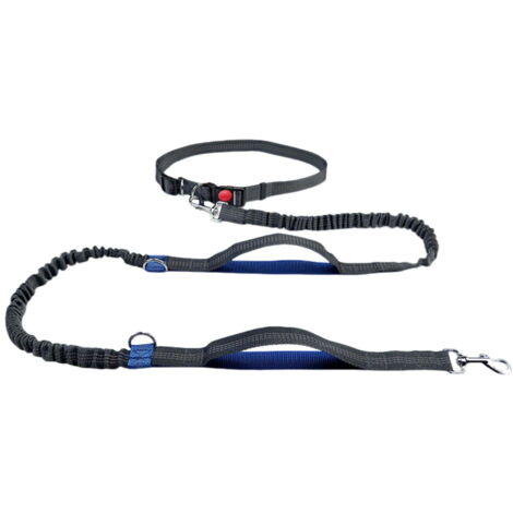 Laisse de course mains libres, ceinture élastique réfléchissante, double poignée de commande, bleue