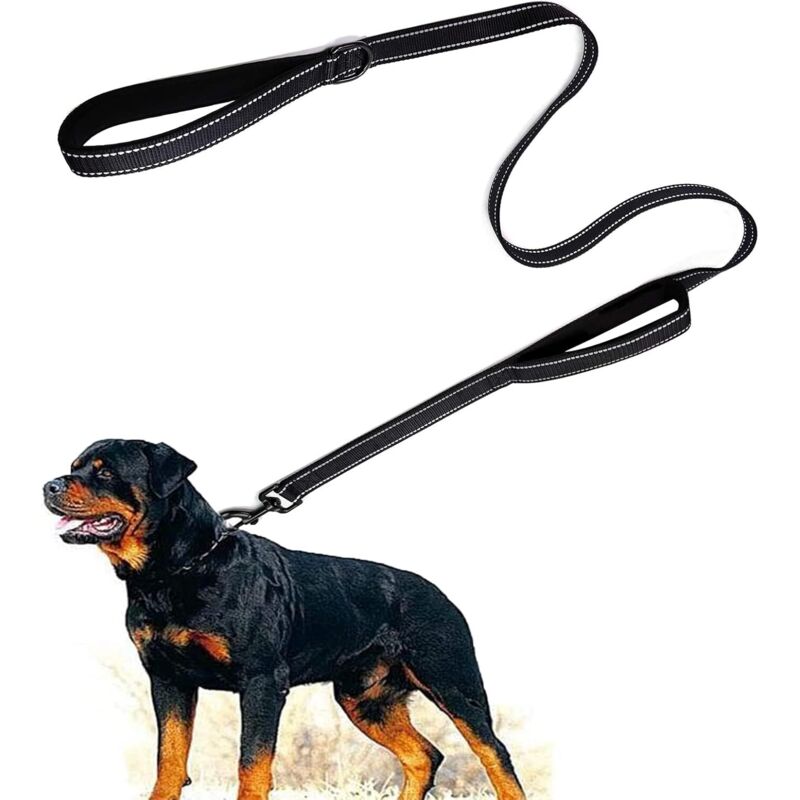 Laisse de Dressage à Double poignée de 1,8 mètre, contrôle de proximité, Laisse de sécurité pour Chiens de Grande et Moyenne Taille, Design