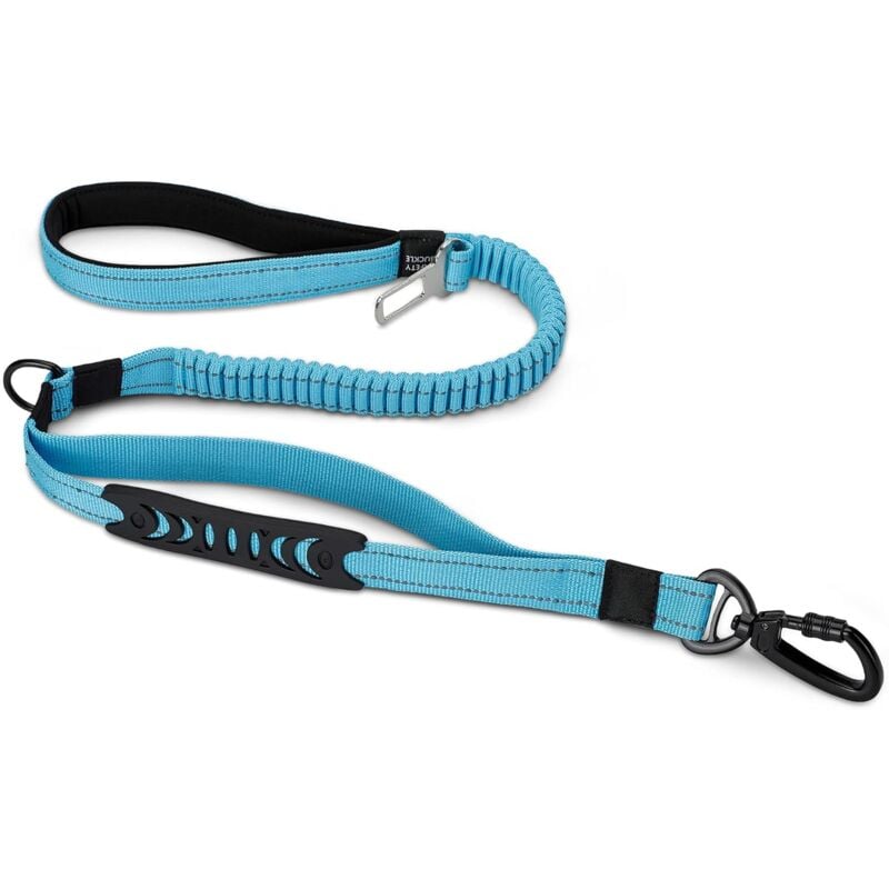 Fei Yu - Laisse de dressage pour chien (bleu)