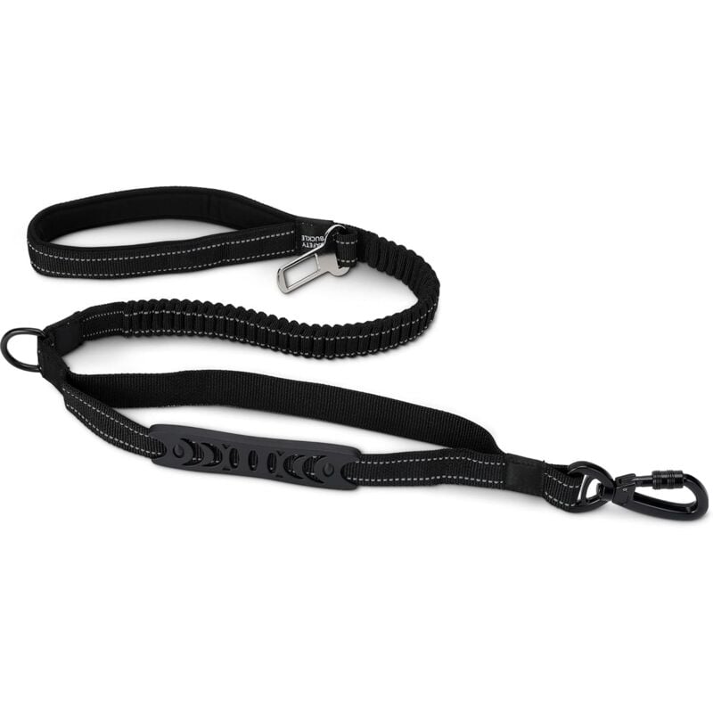 Fei Yu - Laisse de dressage pour chien (noir)