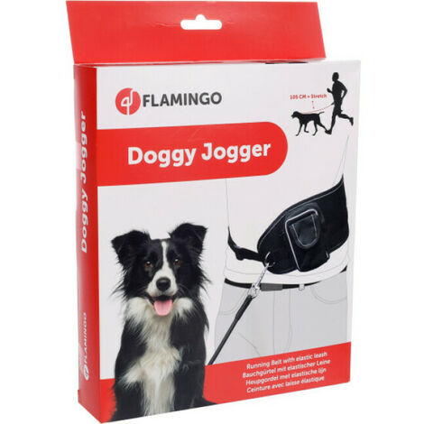 Laisse de jogging canicross pour chien