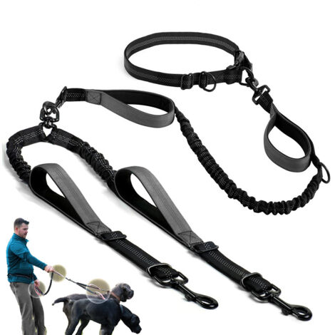 Laisse double brillante, mains libres, détachable, grise et réglable, pour chiens de taille moyenne à grande.