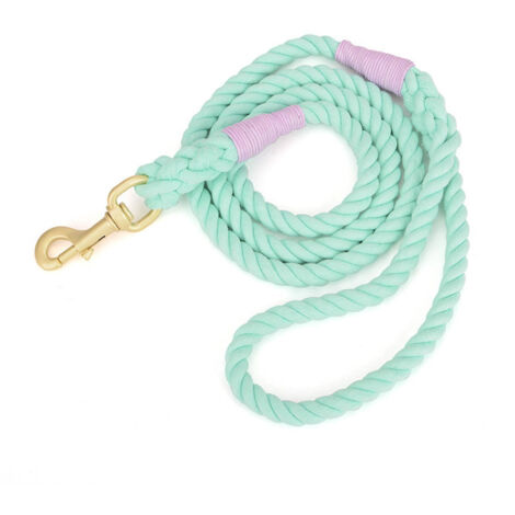 Laisse en corde pour chien, corde tressée de traction multicolore en coton pour chiens de taille moyenne et grande