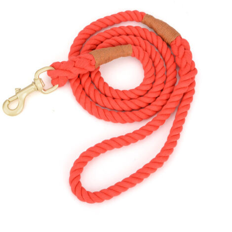 Laisse en corde pour chien, corde tressée de traction multicolore en coton pour chiens de taille moyenne et grande