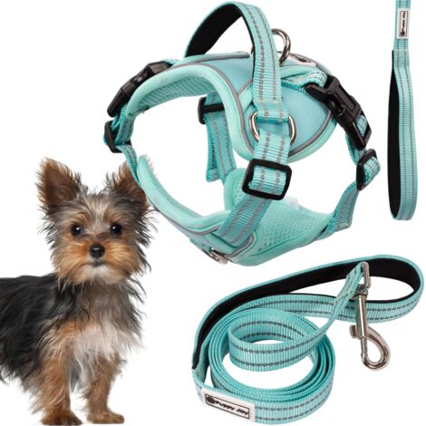 LAISSE ET HARNAIS POUR CHIEN PJ-049 GREEN XS