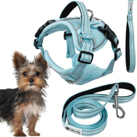 LAISSE ET HARNAIS POUR CHIEN PJ-050 BLUE XS