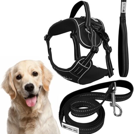 LAISSE ET HARNAIS POUR CHIEN PJ-063 BLACK XL