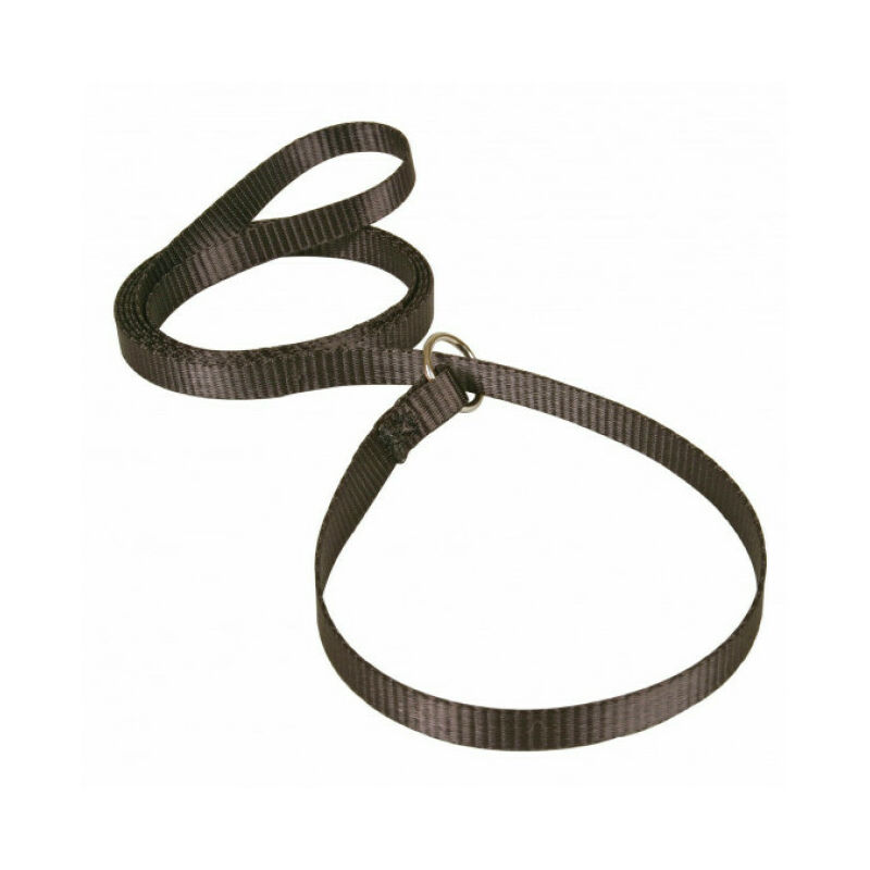 Laisse lasso noire en nylon pour chien