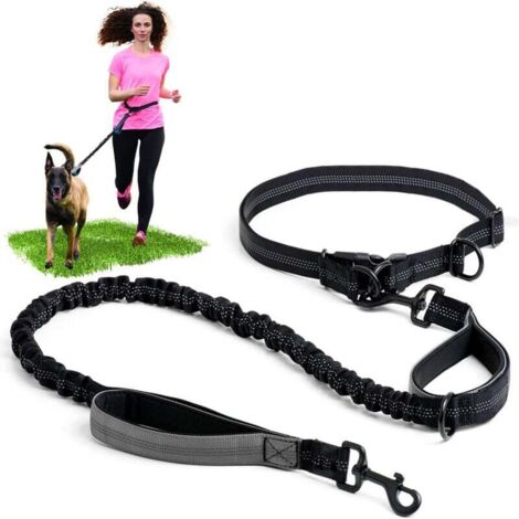 Laisse mains libres pour chien avec coutures réfléchissantes - laisse de type ceinture adaptée aux promenades, randonnées, entraînements, jogging, trail et course à pied - convient aux chiens de taill