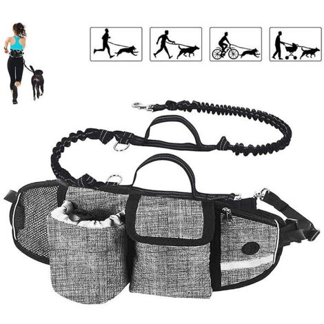 Laisse mains libres pour chien avec système d'absorption des chocs pour chiens jusqu'à 110 kg - Confortable, coutures réfléchissantes, idéale pour la course, le jogging et la marche