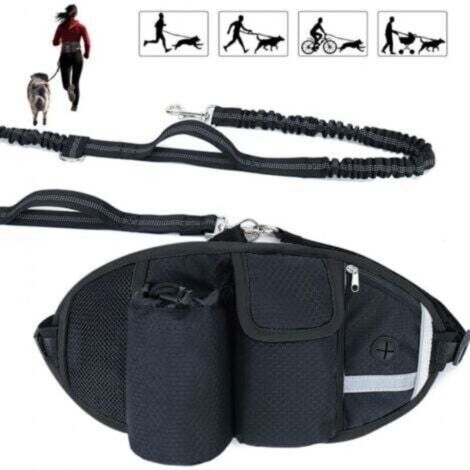 Laisse mains libres pour chien noir – absorption des chocs, réfléchissante, confortable, jusqu’à 110 kg, idéale course/jogging/marche